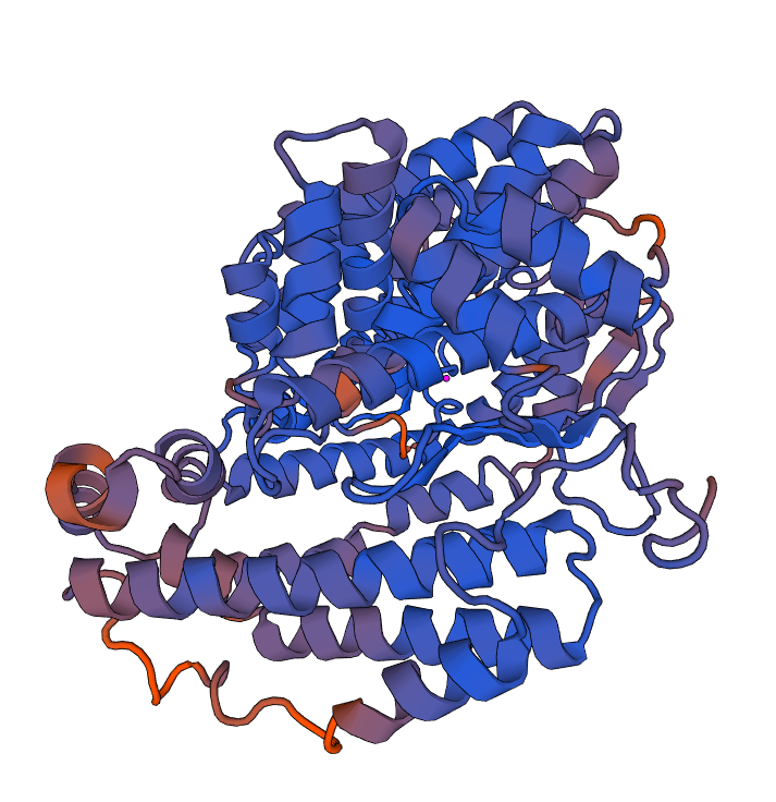 Static Swissmodel Structure